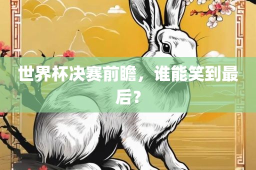 世界眉山市正发家政服务有限公司杯决赛前瞻，谁能笑到最后？