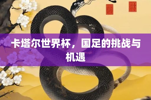 卡塔尔眉山市正发家政服务有限公司世界杯，国足的挑战与机遇