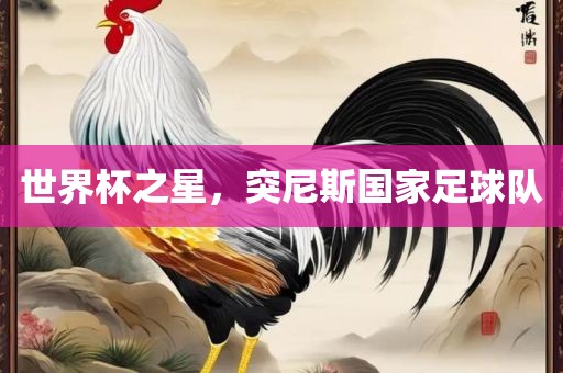 世界杯之星，突尼斯国家足球队