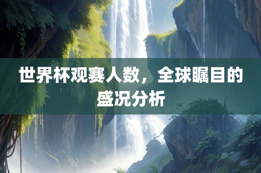 世界杯观赛人数，全球瞩目的盛况分析