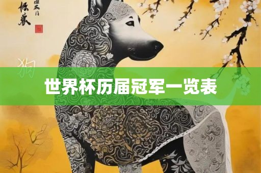 世界杯历届眉山市正发家政服务有限公司冠军一览表