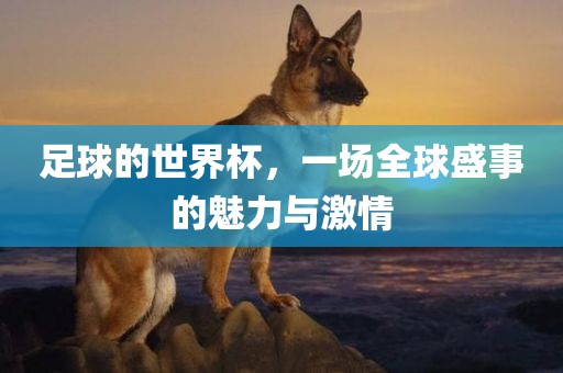 足球的世界杯，一场全球盛事的魅力与激情眉山市正发家政服务有限公司