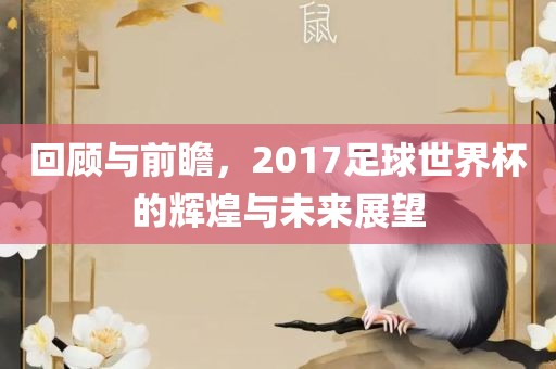 回顾与前瞻，2017足球世界杯的辉煌与未来展望眉山市正发家政服务有限公司