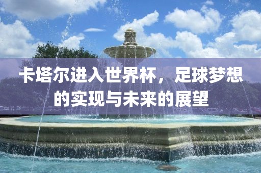 卡塔尔进入世界杯，足球梦想的实现与未来的展望眉山市正发家政服务有限公司