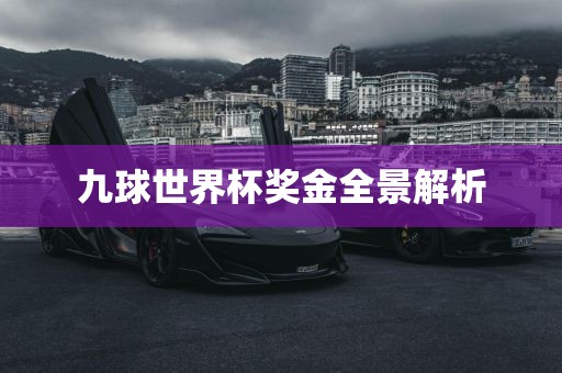 九球世界杯奖金全景解析眉山市正发家政服务有限公司