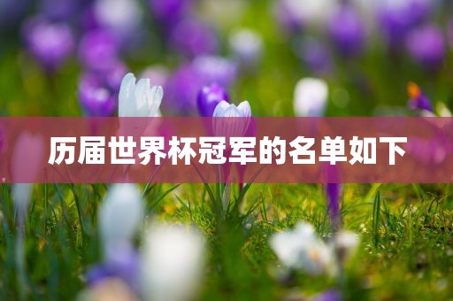历届世界杯冠军的名单如下眉山市正发家政服务有限公司