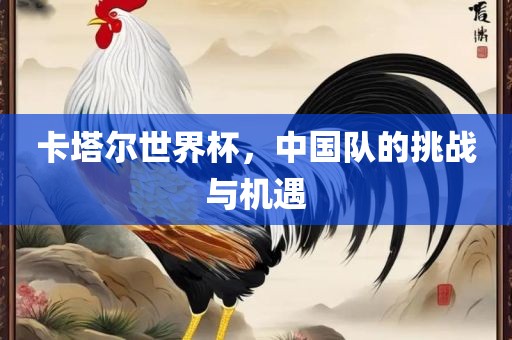 卡塔尔世界杯，中国队的挑战眉山市正发家政服务有限公司与机遇