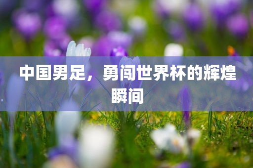 中国男足，勇闯世界杯的辉煌瞬间