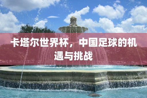卡塔尔世界杯，中国足球的机遇与挑战眉山市正发家政服务有限公司