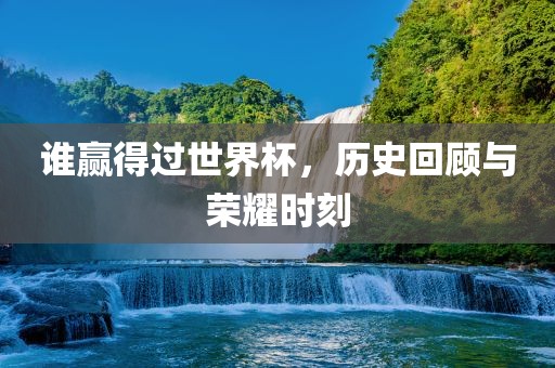 谁赢得过世界杯，历史回顾与荣耀时刻眉山市正发家政服务有限公司