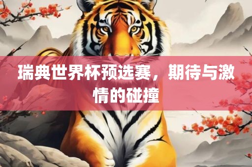 瑞典世界杯预选赛，期待与激情的碰撞
