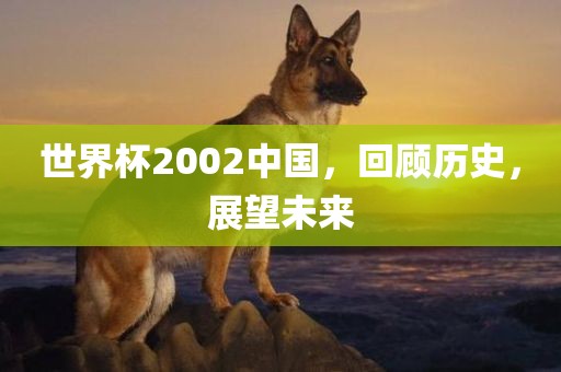 世界杯2002中国，回顾历史，展望未来眉山市正发家政服务有限公司