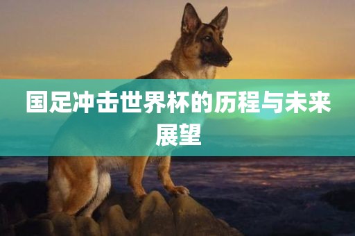 国足冲击世界杯的历程与未来展望眉山市正发家政服务有限公司