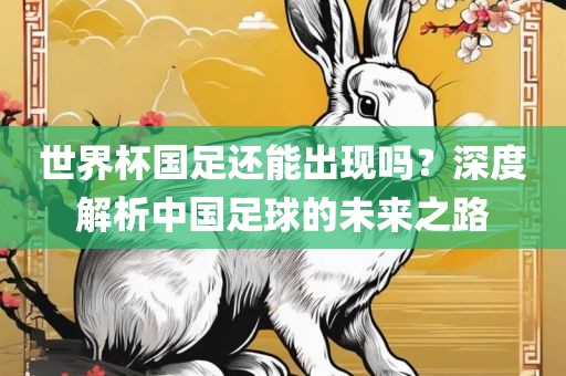 世界杯国足还能出现吗？深度解析中国足球的未来之路