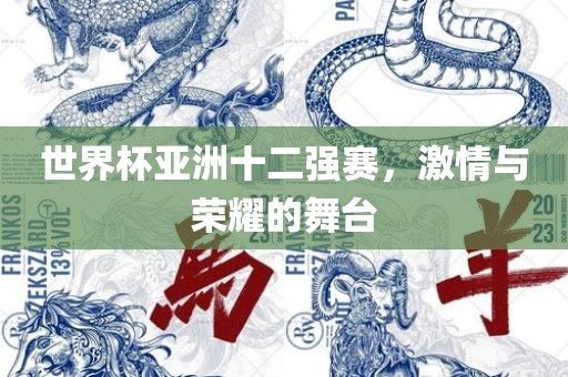 世界杯眉山市正发家政服务有限公司亚洲十二强赛，激情与荣耀的舞台