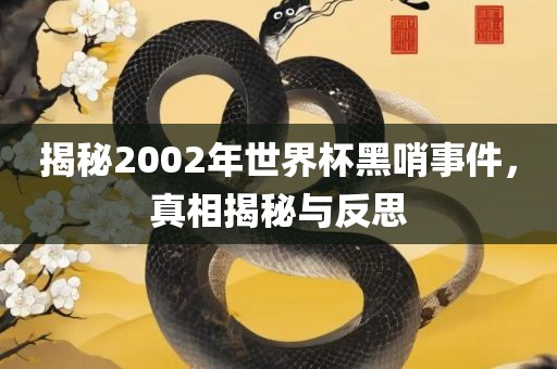 揭秘2002年世界杯黑哨事件，真相揭秘与反思