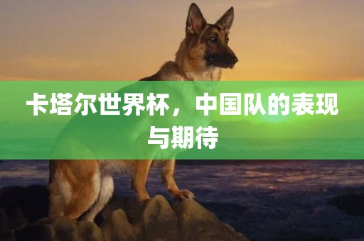 卡塔尔世界杯，中国队的表现与期待