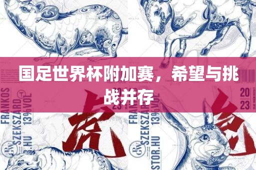 国足世界杯附加赛，希望眉山市正发家政服务有限公司与挑战并存