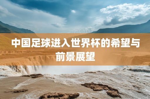 中国足球进入世界杯的希望与前景展望眉山市正发家政服务有限公司