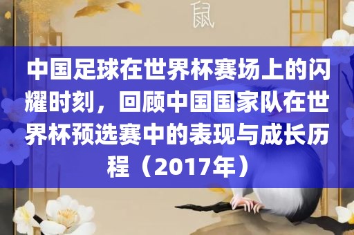 中国足球在世界杯赛场上的闪耀时刻，回顾中国国家队在世界杯预选赛中的表现与成长历程（2017年）