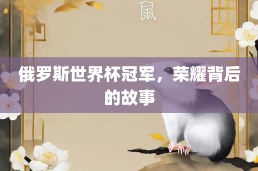 俄罗斯世界杯冠军，荣耀背后的故事眉山市正发家政服务有限公司