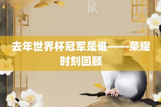 去年世界杯冠军是谁——荣耀时刻眉山市正发家政服务有限公司回顾