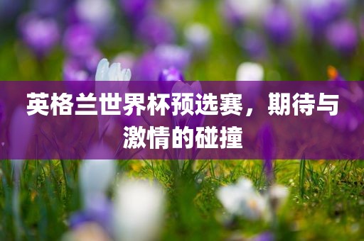 英格兰世界杯预选赛，期待与激情的碰撞眉山市正发家政服务有限公司