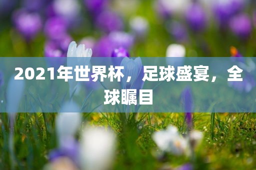 2021年世界杯，足球盛宴，全球瞩目眉山市正发家政服务有限公司