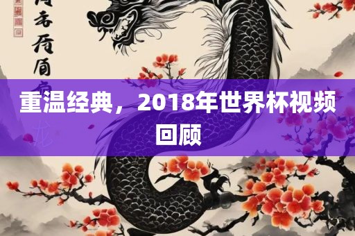 重温经典，2018年世界杯视频回顾