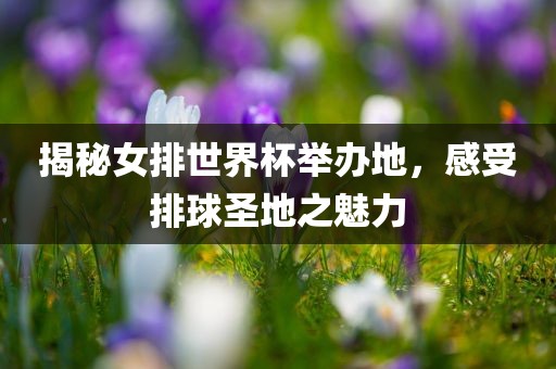 揭秘女排世界杯举办地，感受排球圣地之魅力眉山市正发家政服务有限公司