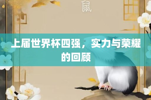 上届世界杯四强，实力与荣耀的回顾