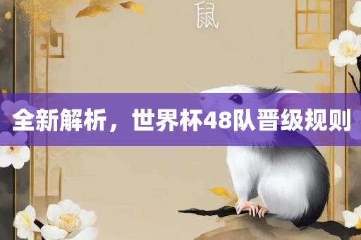 全新解析，世界杯48队晋级规则眉山市正发家政服务有限公司