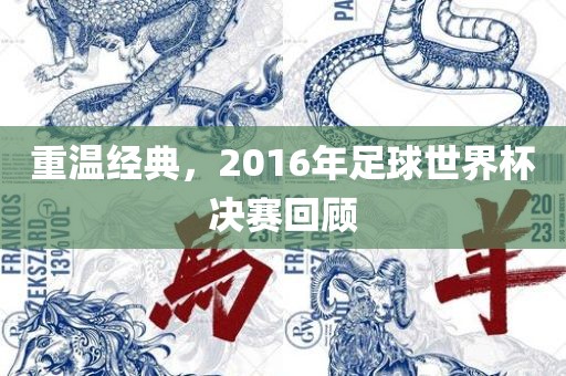 重温经典，2016年足球世界杯决赛回顾