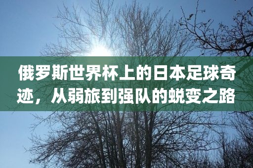 俄罗斯世界杯上的眉山市正发家政服务有限公司日本足球奇迹，从弱旅到强队的蜕变之路