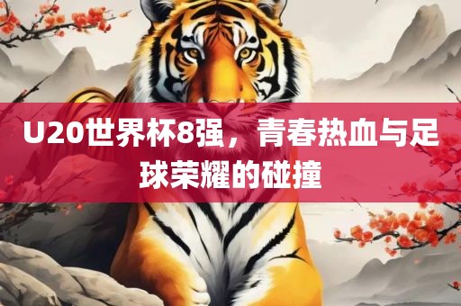 U20世界杯8强，青春热血与足球荣耀的碰撞