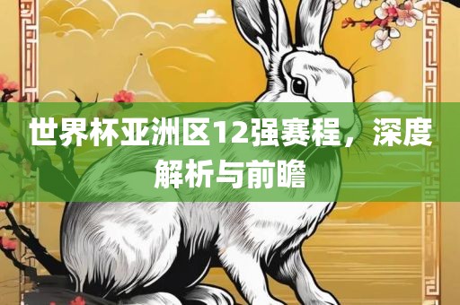 世界杯亚洲区12强赛程，深度解析与前瞻眉山市正发家政服务有限公司