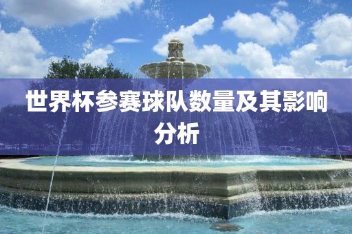 世界杯参赛球队数量及其影响分析眉山市正发家政服务有限公司