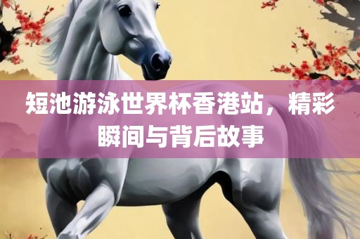 短池游泳世界杯香港站，精彩瞬间与背后故事