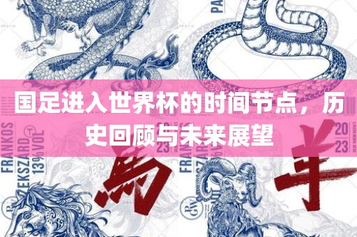 国足进入世界杯的时间节点，历史回顾与未来展望眉山市正发家政服务有限公司