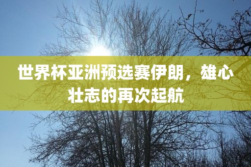 世界杯亚洲预选赛伊朗眉山市正发家政服务有限公司，雄心壮志的再次起航