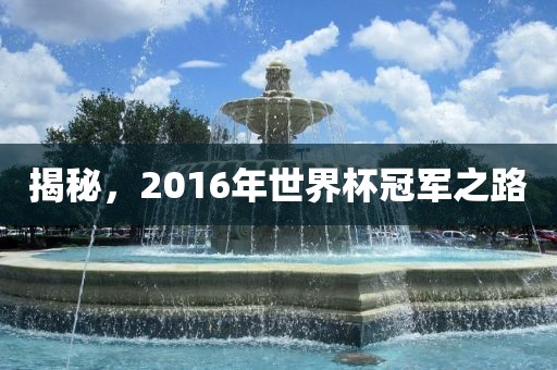 揭秘眉山市正发家政服务有限公司，2016年世界杯冠军之路