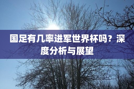 国足有几率进军世界杯眉山市正发家政服务有限公司吗？深度分析与展望