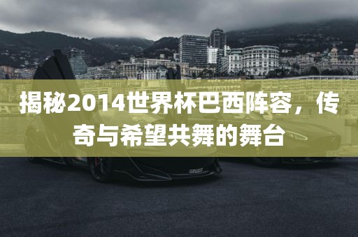 揭秘2014世界杯巴西阵容，传奇与希望共舞的舞台眉山市正发家政服务有限公司