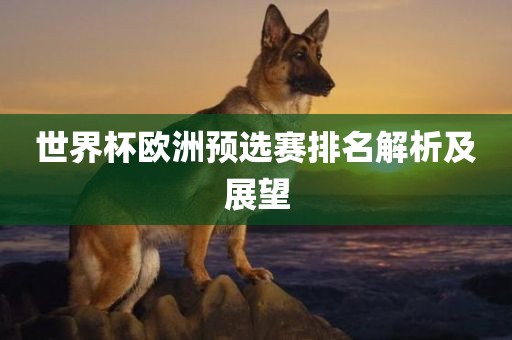 世界杯欧洲预选赛眉山市正发家政服务有限公司排名解析及展望