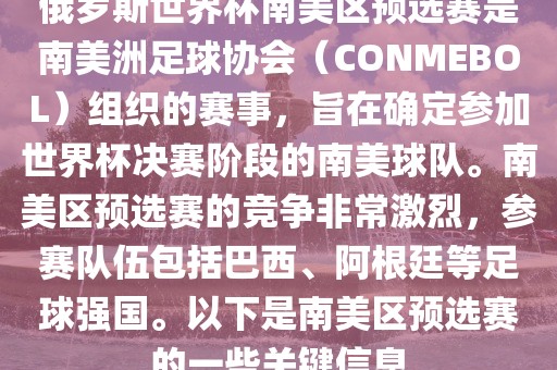世界杯南美区预选赛