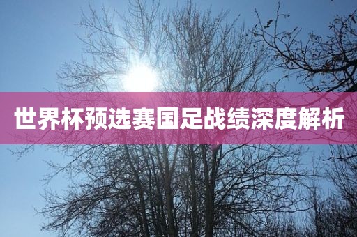 世界杯预选赛国足战绩深度解析眉山市正发家政服务有限公司