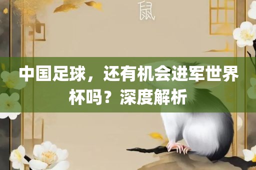中国足球，还有机会进军世界杯吗？深度解析