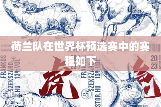 荷兰队在世界杯预选赛中的赛程如下眉山市正发家政服务有限公司