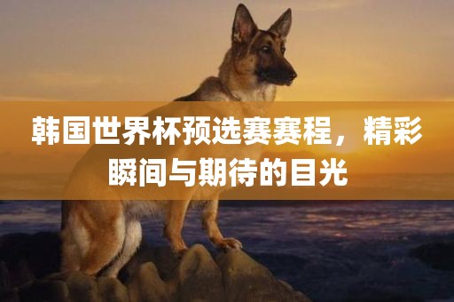 韩国世界杯预选赛赛程，精眉山市正发家政服务有限公司彩瞬间与期待的目光