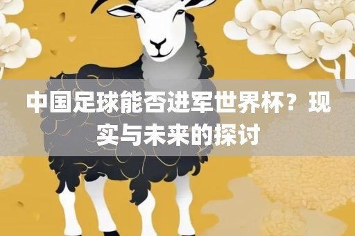 中国足球能否进军世界杯？现实与未来的探讨